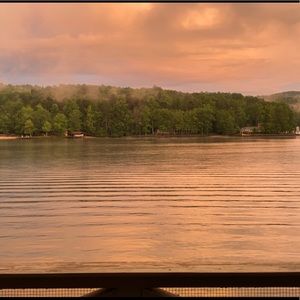 Meet your Posher, Maggie